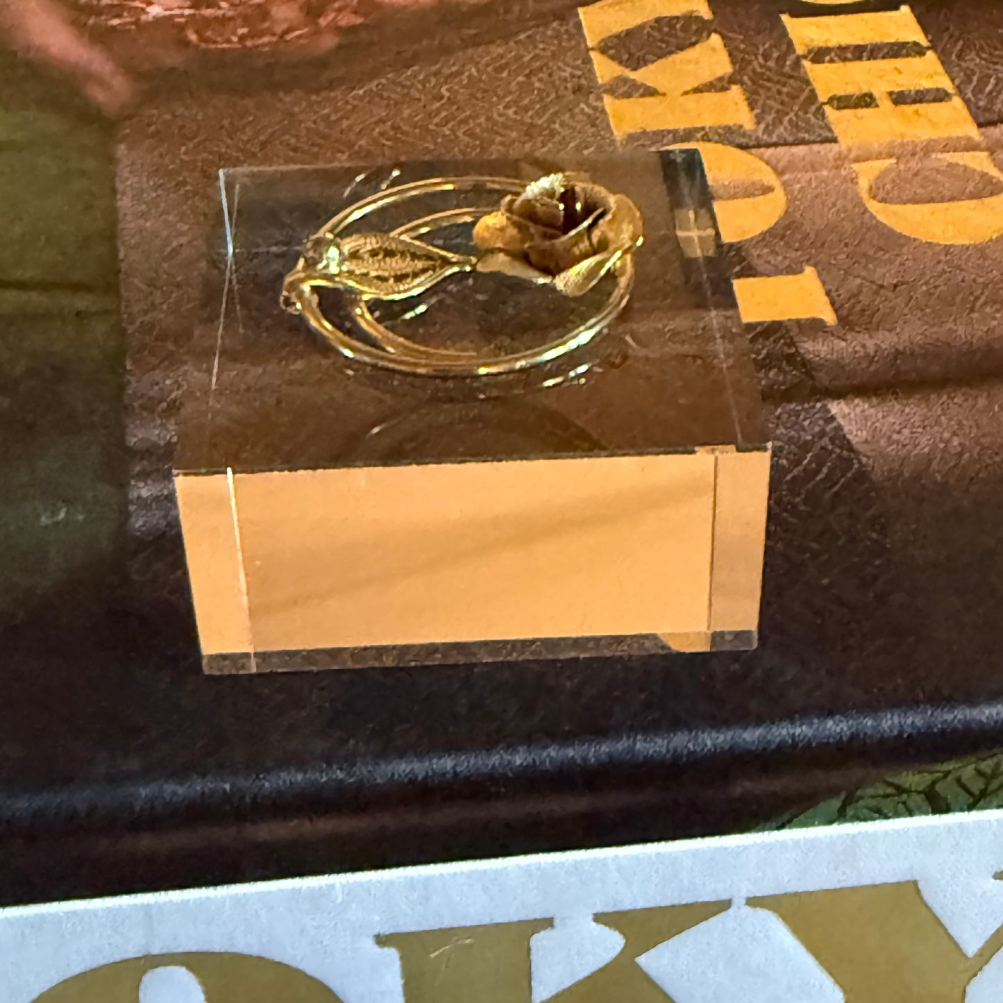 Spiral Rose & Leaf Acrylic Cube (2)