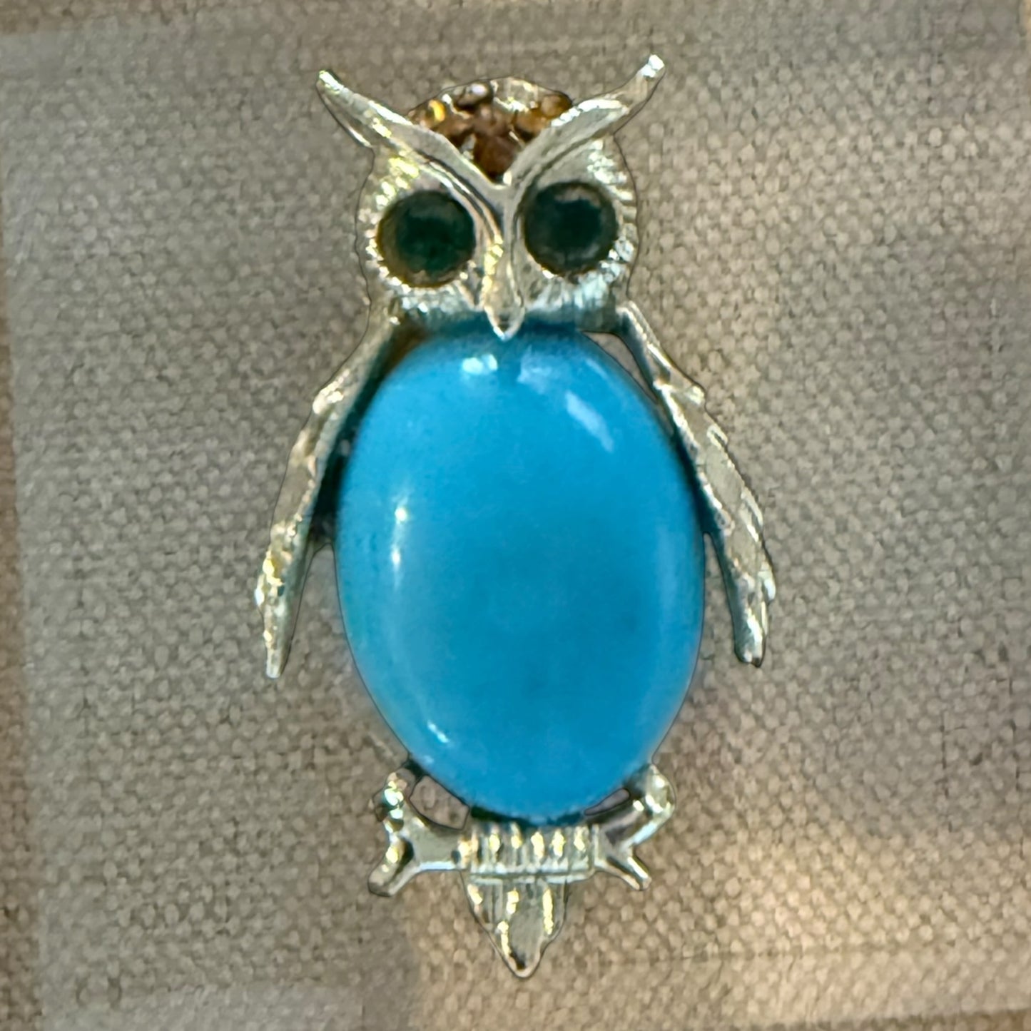 Owl with Turquoise Acrylic Cube