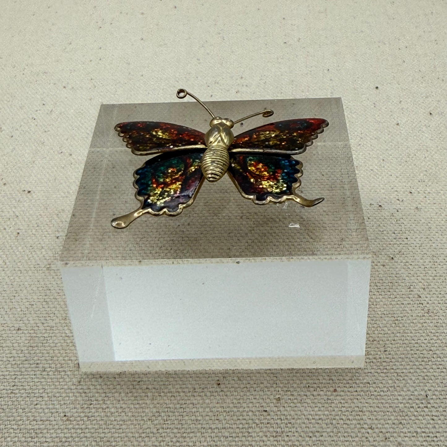 Multi Butterfly Acrylic Cube